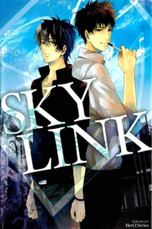 Sky Link