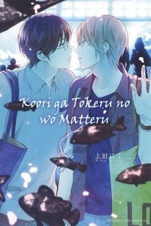 Koori ga Tokeru no Wo Matteru