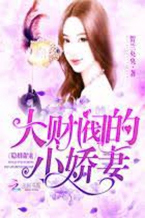 hidden marriage sweet pampering the conglomerate's little wife