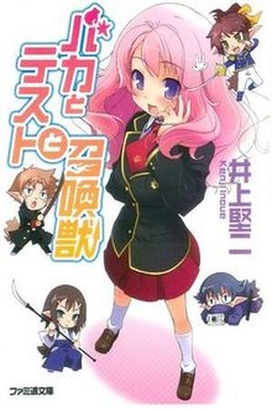 Baka to Test to Shoukanjuu (novela)